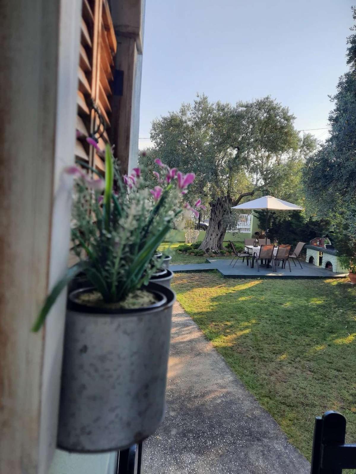Villa Elia Скала-Сотирос Экстерьер фото