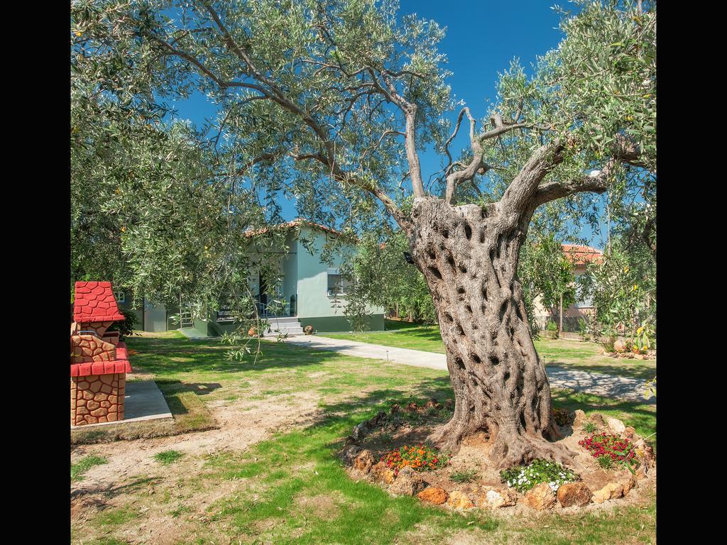 Villa Elia Скала-Сотирос Экстерьер фото