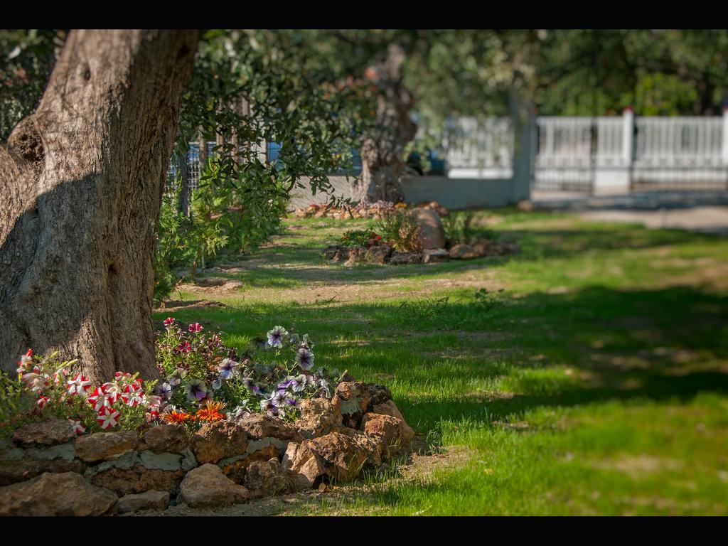 Villa Elia Скала-Сотирос Экстерьер фото